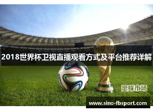 2018世界杯卫视直播观看方式及平台推荐详解 2018世界杯卫视直播观看方式及平台推荐详解