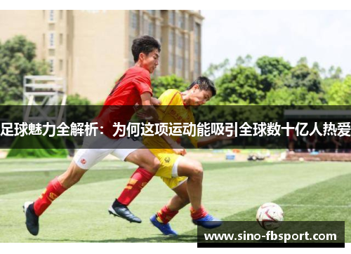 足球魅力全解析:为何这项运动能吸引全球数十亿人热爱 足球魅力全解析:为何这项运动能吸引全球数十亿人热爱