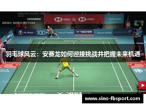 羽毛球风云：安赛龙如何迎接挑战并把握未来机遇