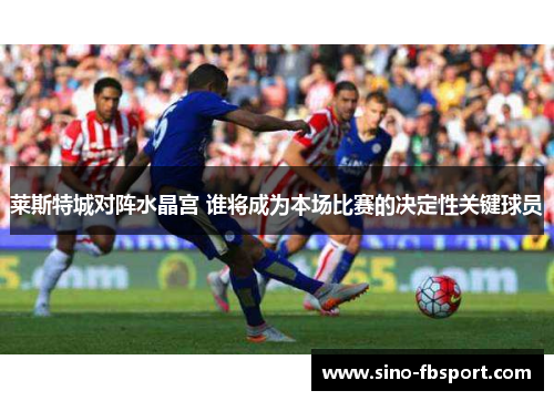莱斯特城对阵水晶宫 谁将成为本场比赛的决定性关键球员