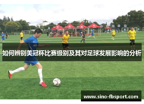 如何辨别美冠杯比赛级别及其对足球发展影响的分析