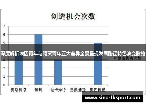 深度解析埃因青年与阿贾青年五大差异全景呈现发展路径特色演变脉络