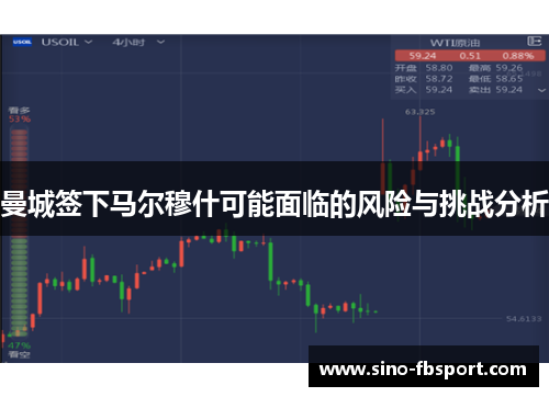 曼城签下马尔穆什可能面临的风险与挑战分析