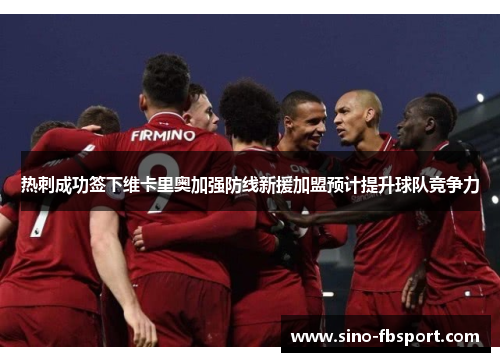 热刺成功签下维卡里奥加强防线新援加盟预计提升球队竞争力